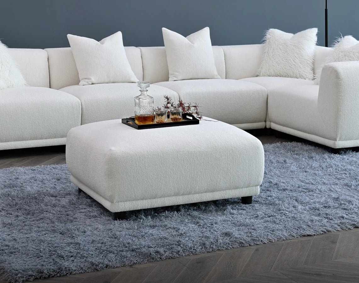 The Amara Modular Corner Group in Polar Boucle
