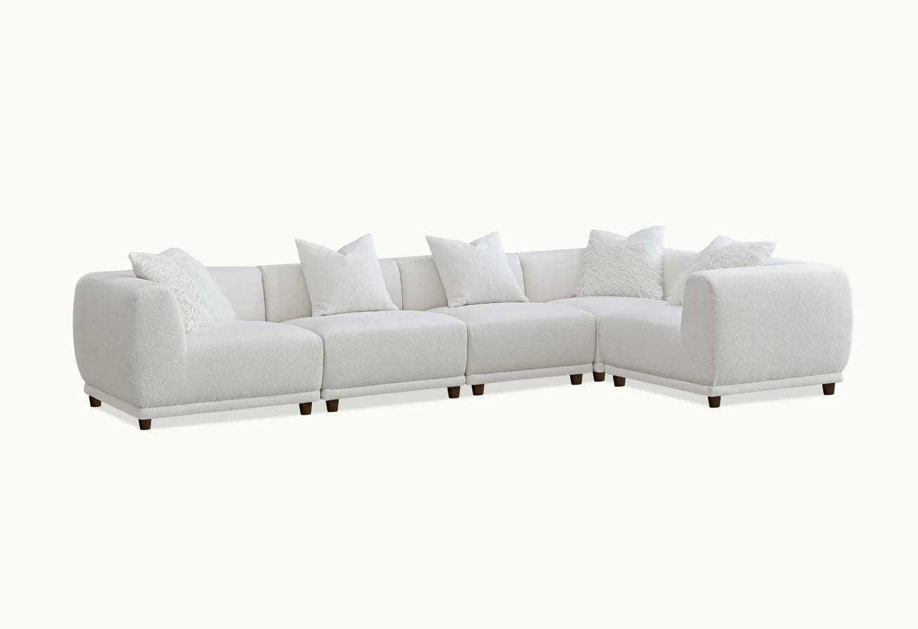 The Amara Modular Corner Group in Polar Boucle